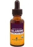 Buy Celandine Extract 1 Oz By Herb Pharm | Herbspro.com