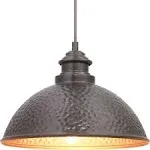 Progress Lighting Englewood 1-Light Hanging Lantern