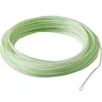 Rio Elite Gold Fly Line WF4F