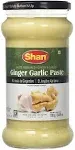 Shan Ginger Paste 700g