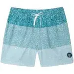 Chubbies The Whale SharksClassic Swim Trunk