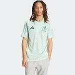 Adidas Mexico Away Jersey 2024 Linen Green / 3XL