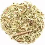 Frontier Echinacea Angustifolia Herb, Cut & Sifted, Organic 1 lb.