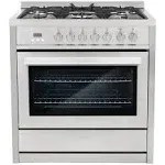 36 in. Stellar Collection 3.8 cu. ft. Dual Fuel Range, 5-Sealed-Burners, 8 Function Convection Oven in Stainless Steel