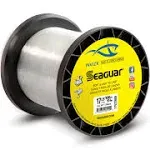 Seaguar InvizX 25lb