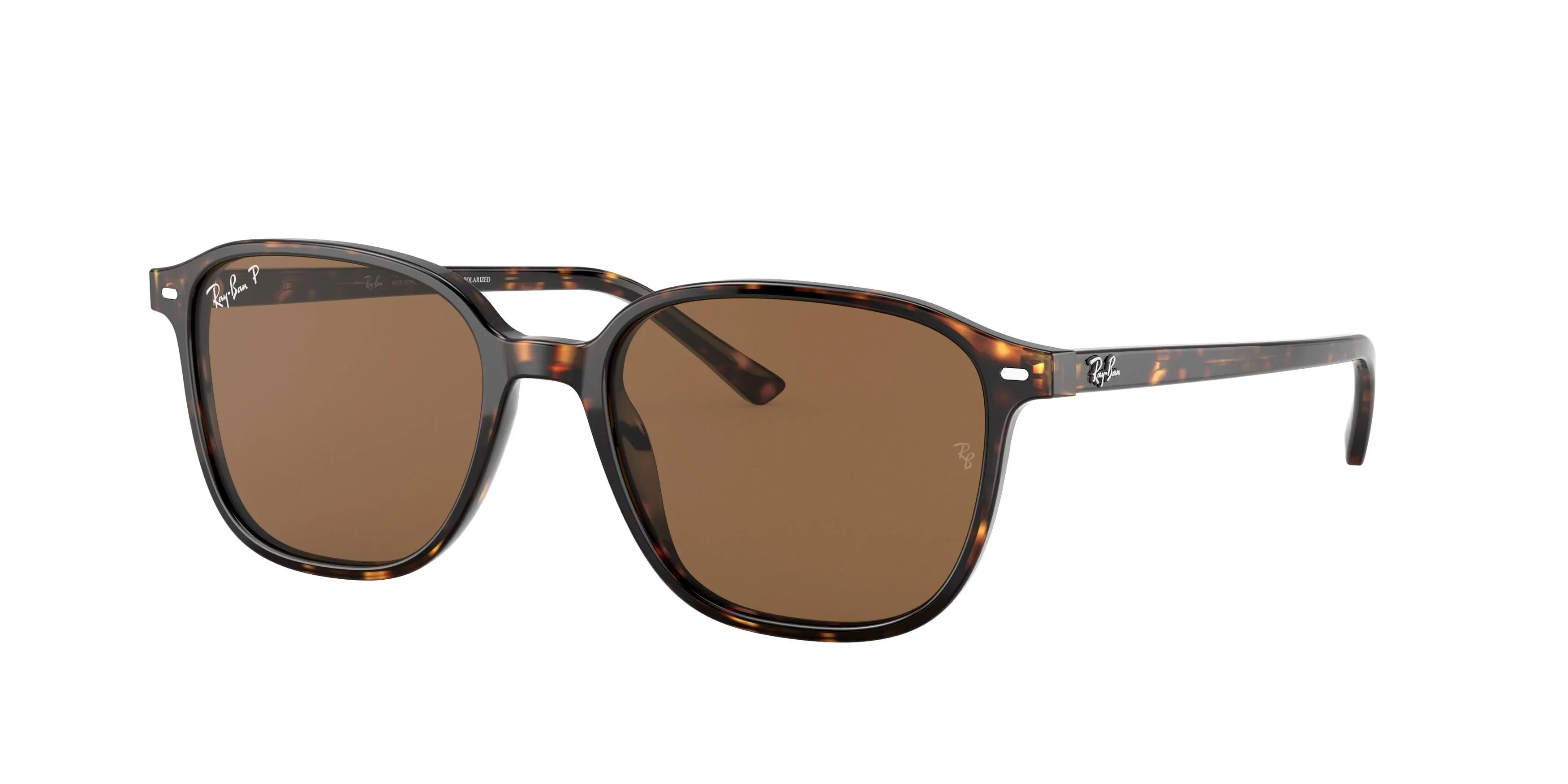 Ray Ban RB2193 Leonard Sunglasses