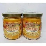 Smoke Odor Exterminator 13oz Jar Candle, Orange Lemon, Pack of 2 