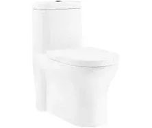 Monaco One-Piece Elongated Toilet Dual Flush 1.1/1.6 gpf with 10" Rough in