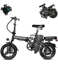 14 inch Folding Electric Bike