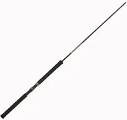  Buck&#039;s 10&#039; Graphite Jig Fishing Pole