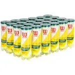 Wilson Regular Duty Tennis Balls (Case 24X)