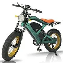 Smartravel Raptor ST202 |Long-Distance Specialists-Electric Commuter Bike