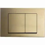 Wall Mount Dual Flush Actuator plate with Square Push Buttons in Brush