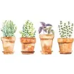 RoomMates Watercolor Potted Herbs Peel and Stick Wall Decals