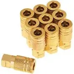 SUNGATOR MGGFZ9B 1/4-Inch Brass Female Industrial Coupler