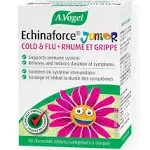 A. Vogel Echinaforce Junior 90 Chewable Tabs