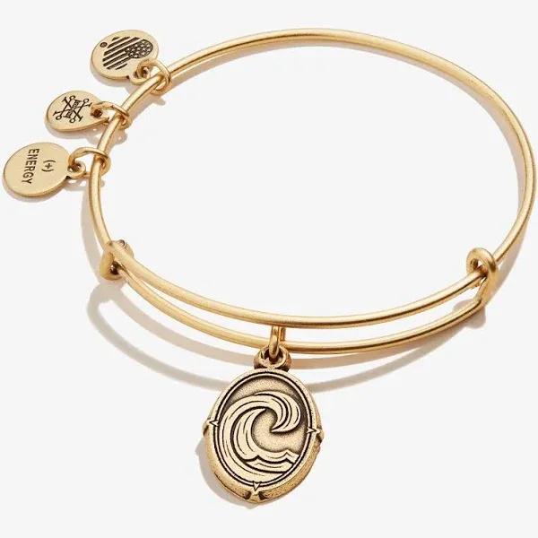 Alex and Ani Path of Symbols Expandable Bangle for Women, Wave Charm, Rafaelian Gold Finish, 2 to 3.5 in (A21EBWVERG)