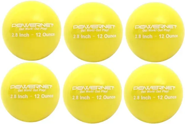 PowerNet 2.8" Weighted Training Balls