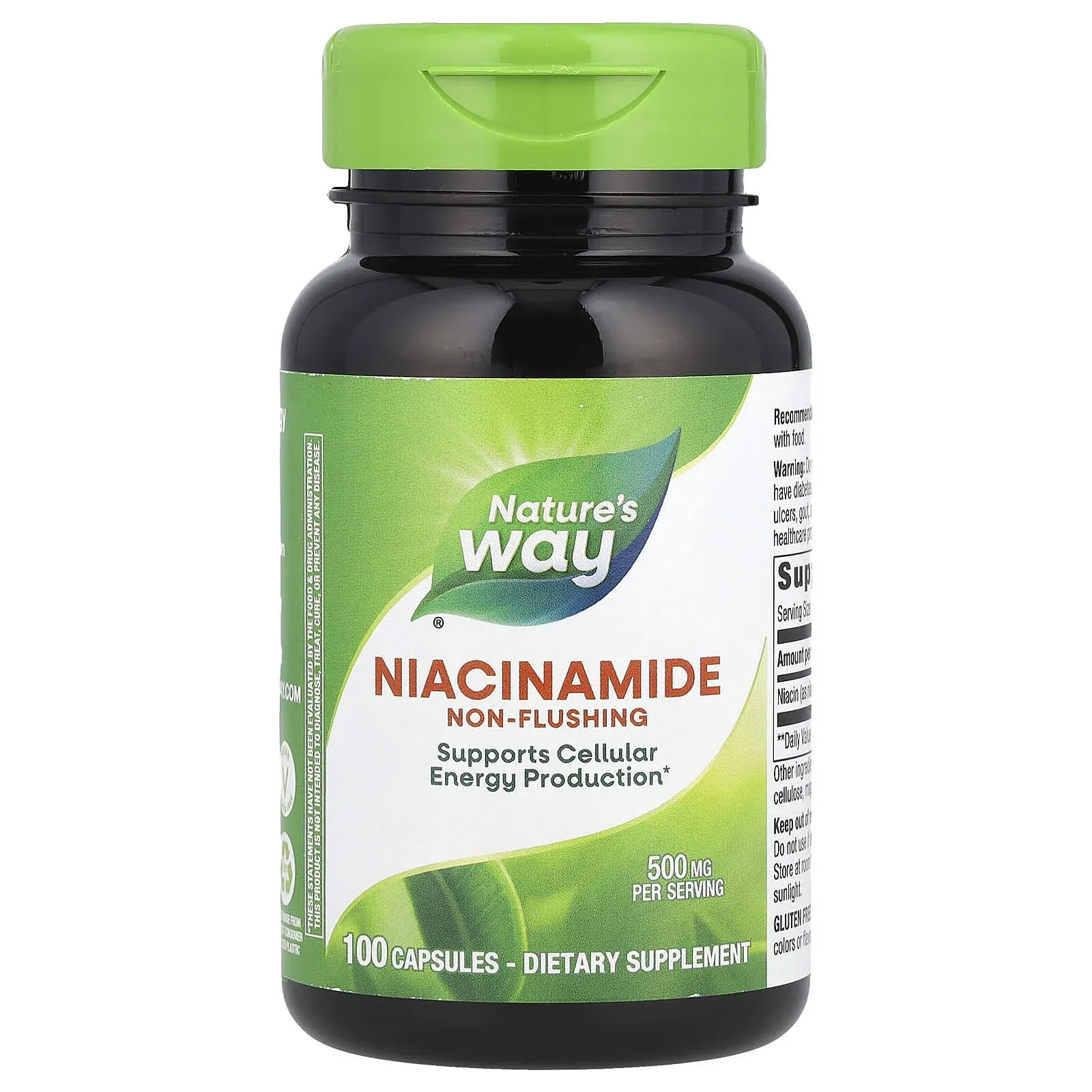 Nature's Way - Niacinamide - 100 Capsules