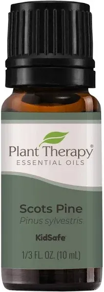 Plant Therapy Pine Essential Oil. 100% Pure, Undiluted, Therapeutic grade. 10 ml