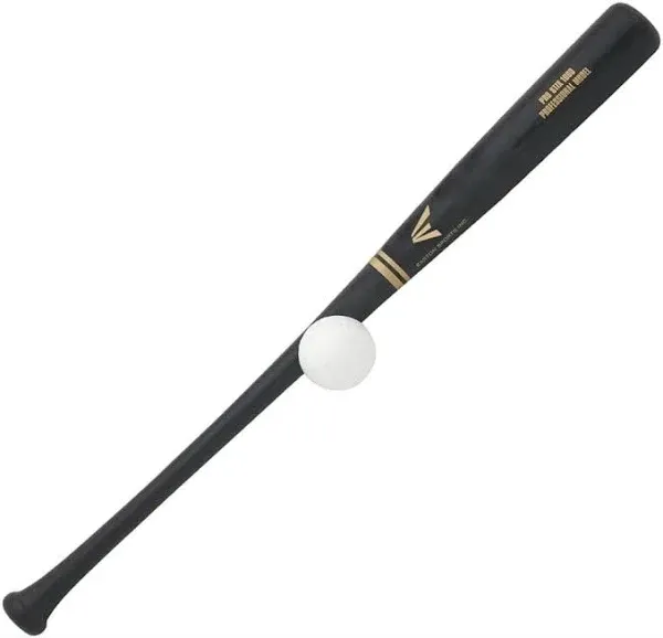 Easton Pro Stix Training Set