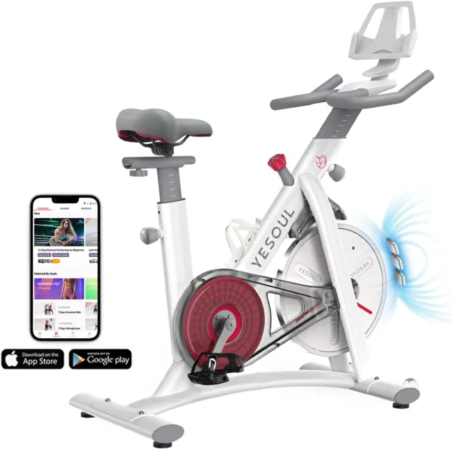 Yesoul Black Exercise Bike for Home,Smart White Cycling Bike Magnetic Stationary