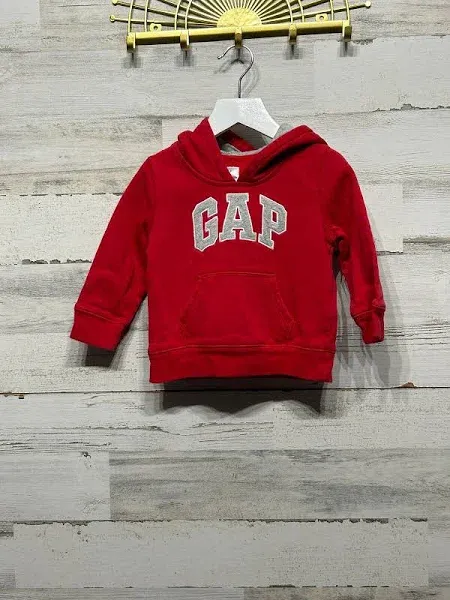 GAP Kids Baby Boy Logo Lined Buffalo Red Hooded Sweatshirt 3t NWT