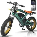 Ebike 1200W 48V Electric Bicycle with APP Control 4.0 Fat Tire 20inch ！