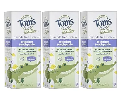 Tom's of Maine Toddler Fluoride Free Training Toothpaste