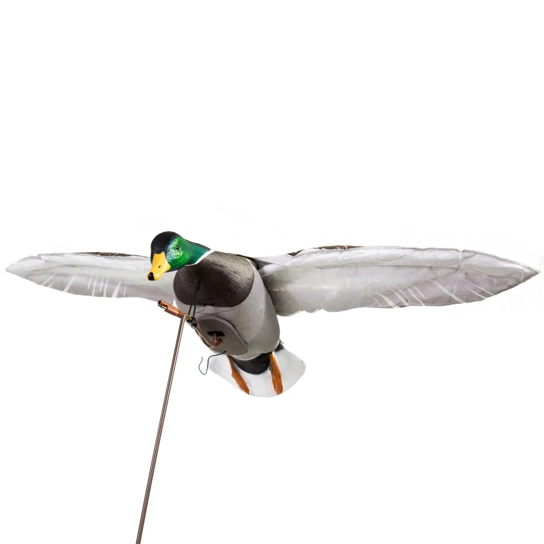 Clone Drake Mallard Motion Decoy