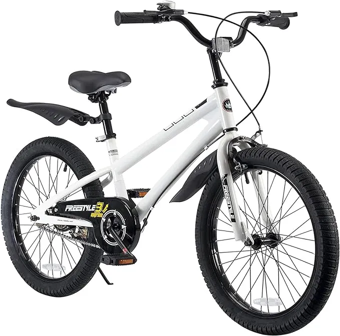 Royalbaby Freestyle Kids Bike