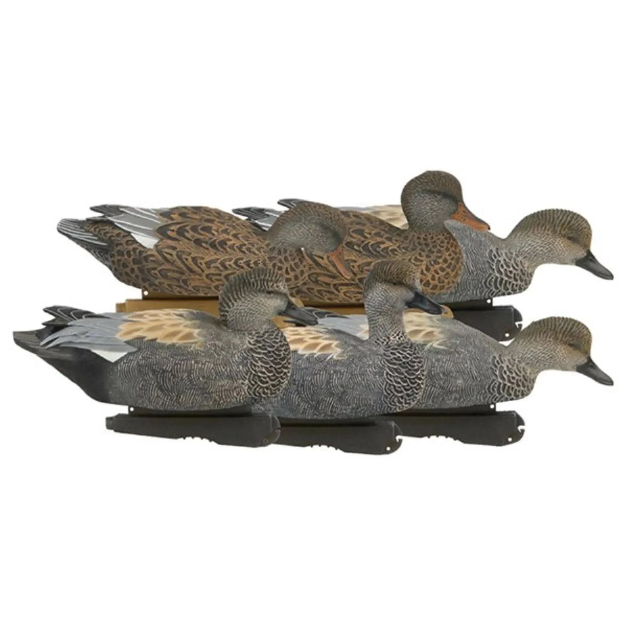 GHG Pro Grade Gadwall Duck Decoys - 6 Pack