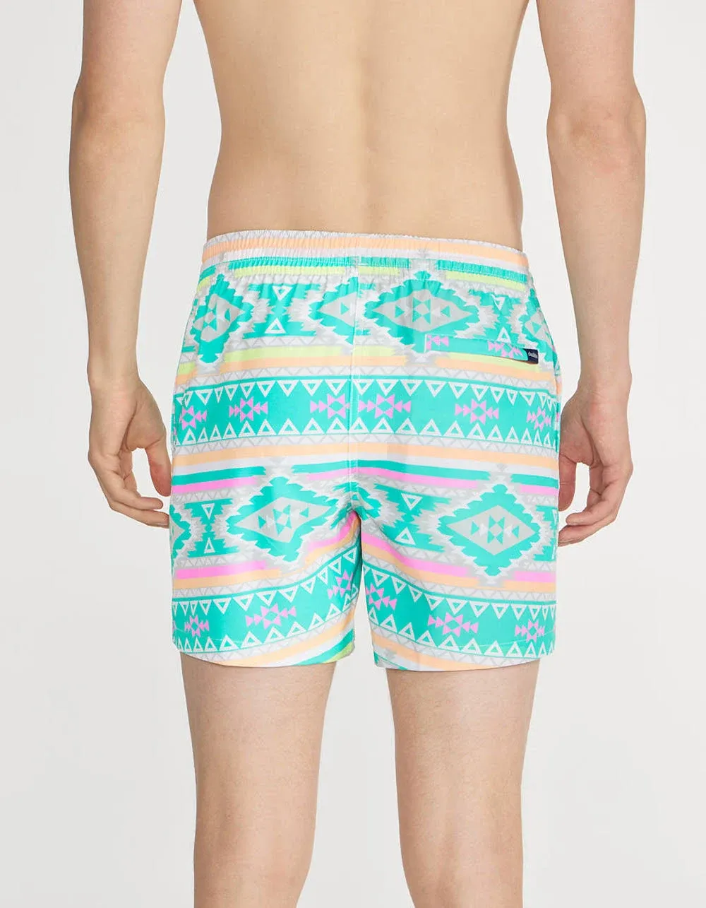 "CHUBBIES Classic Mens 5.5'' Swim Trunks"