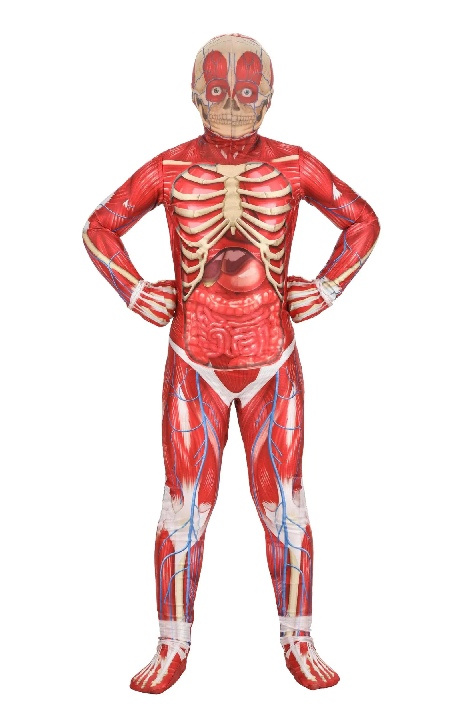 Kid's Anatomical Muscle Suit Costume