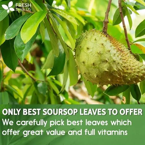 Premium 40 Soursop Graviola Leaf Tea Bags, 100% Natural+Pure from Soursop Leaves, Handmade, Made With Natural Materials-Corn Fiber Tea Bag, Sugar/Caffeine/Gluten Free, Hoja Guanabana Tea