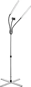 Daylight Company Gemini Floor Lamp, 2 Strobe Lamp, 4 Brightness Levels, Social Media, Nails, Salon, Beauty, Office and Much More - 4,500 LUX - 1,400 Lumen, Silver