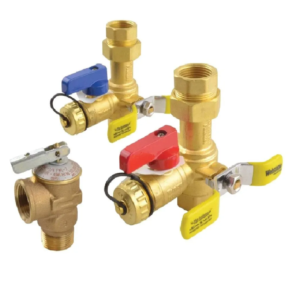 Richmond Rtg20326 Tankless Service Valve Kit, Brass