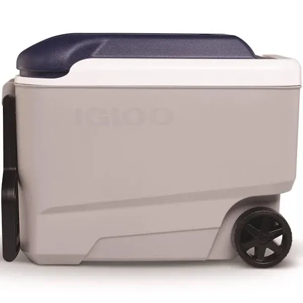 Igloo Maxcold 40 Roller (Ash Gry.Wht.Aegean Sea.Blk) 00034814, 38 Litre