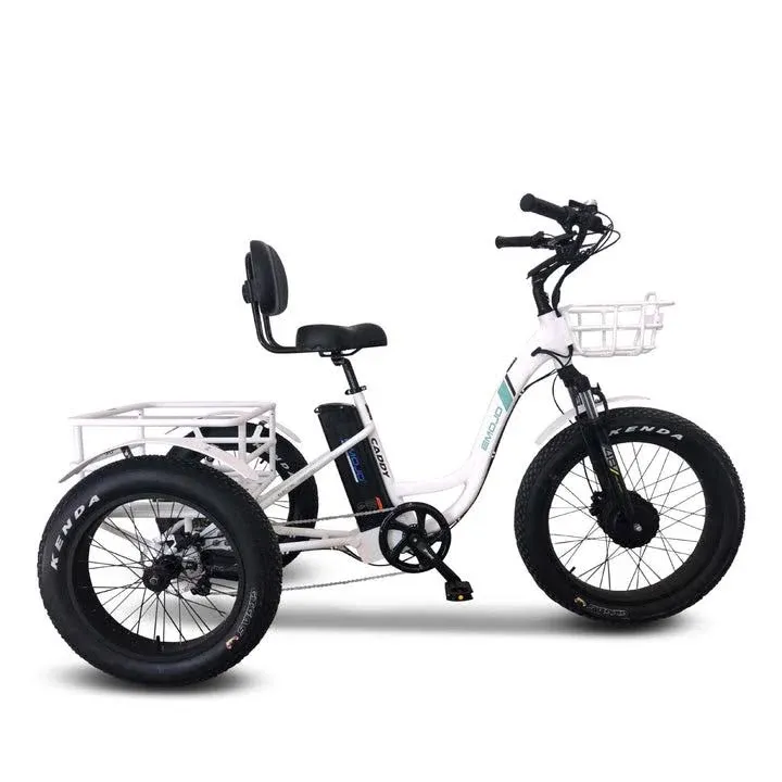 Emojo Caddy Pro, 2023 Tricycle E Bike for Seniors, White