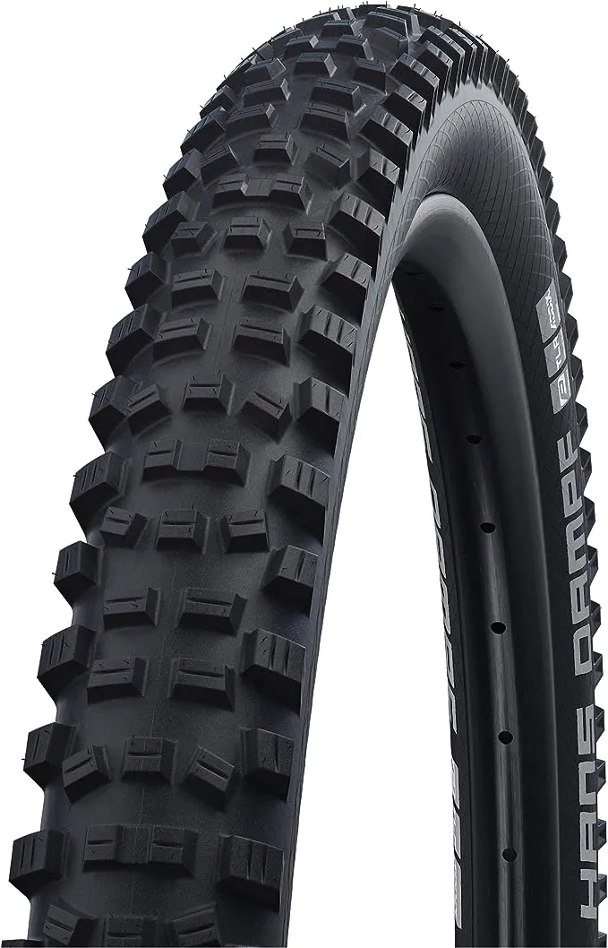 Schwalbe Hans Dampf Tire - Tubeless Folding Black Performance Addix TwinSkin