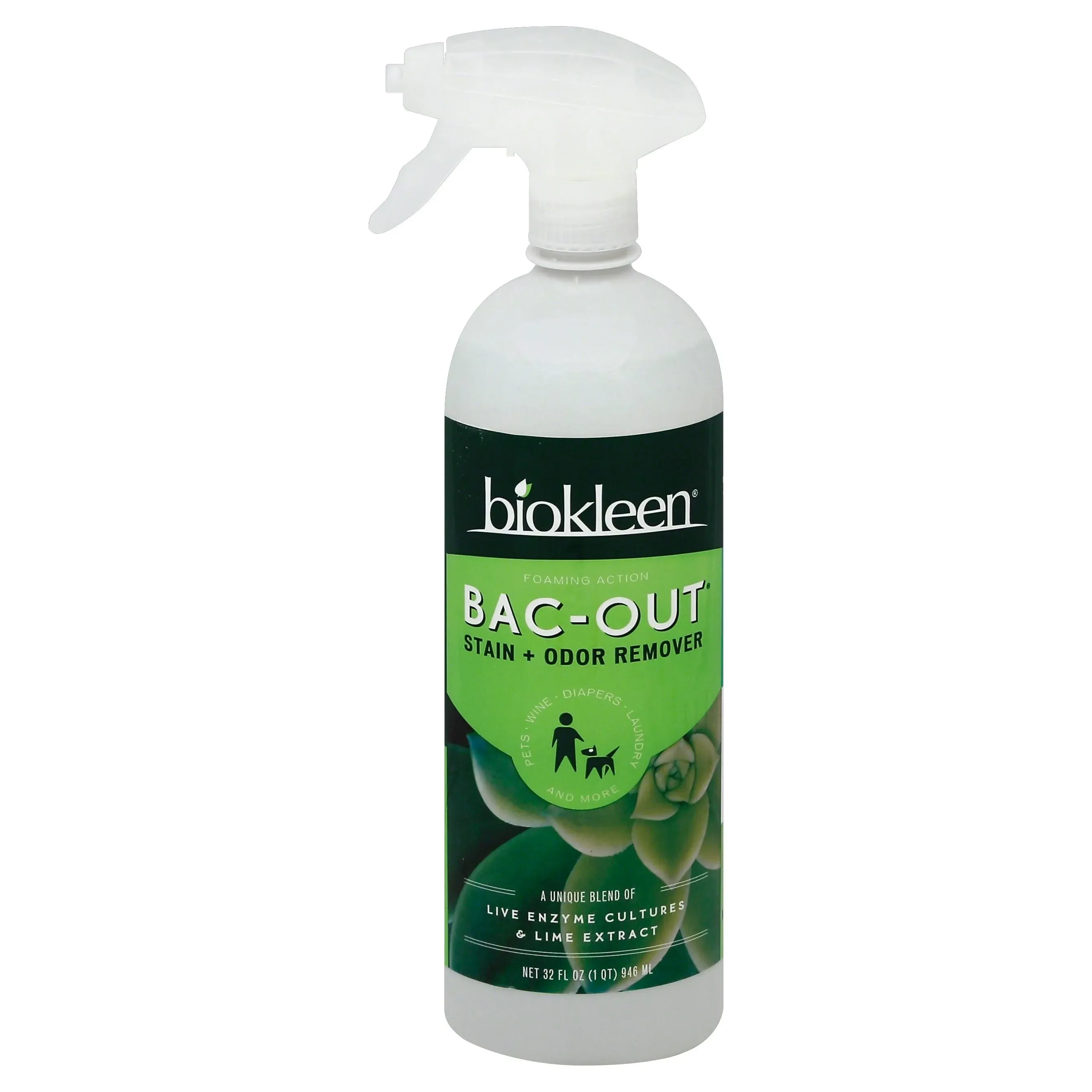 Biokleen Bac-Out Stain Odor Remover