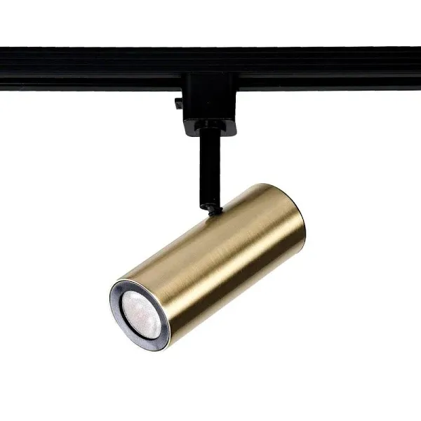 WAC Lighting Silo LED2010 X10 Head H Track, 10 Watts, Brushed Brass