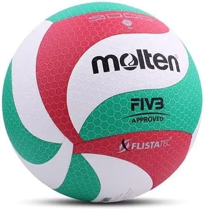 Molten Volley Ball