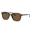 Ray-Ban 0RB2193 902/57 Leonard Polarized Brown Square Sunglasses