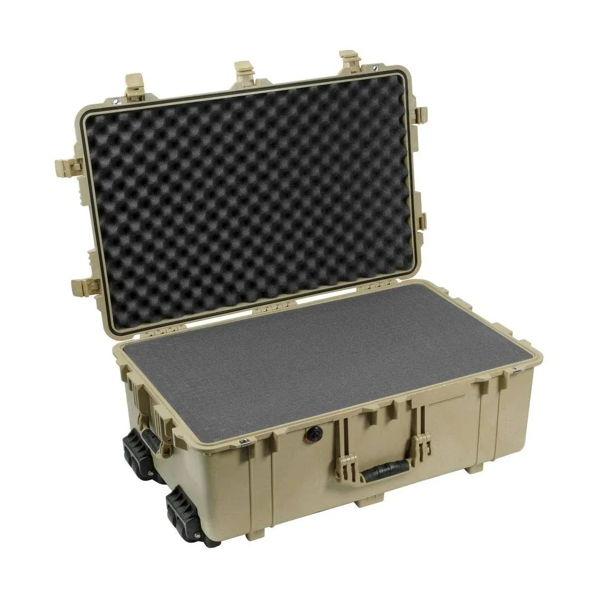 Pelican 1650 Case