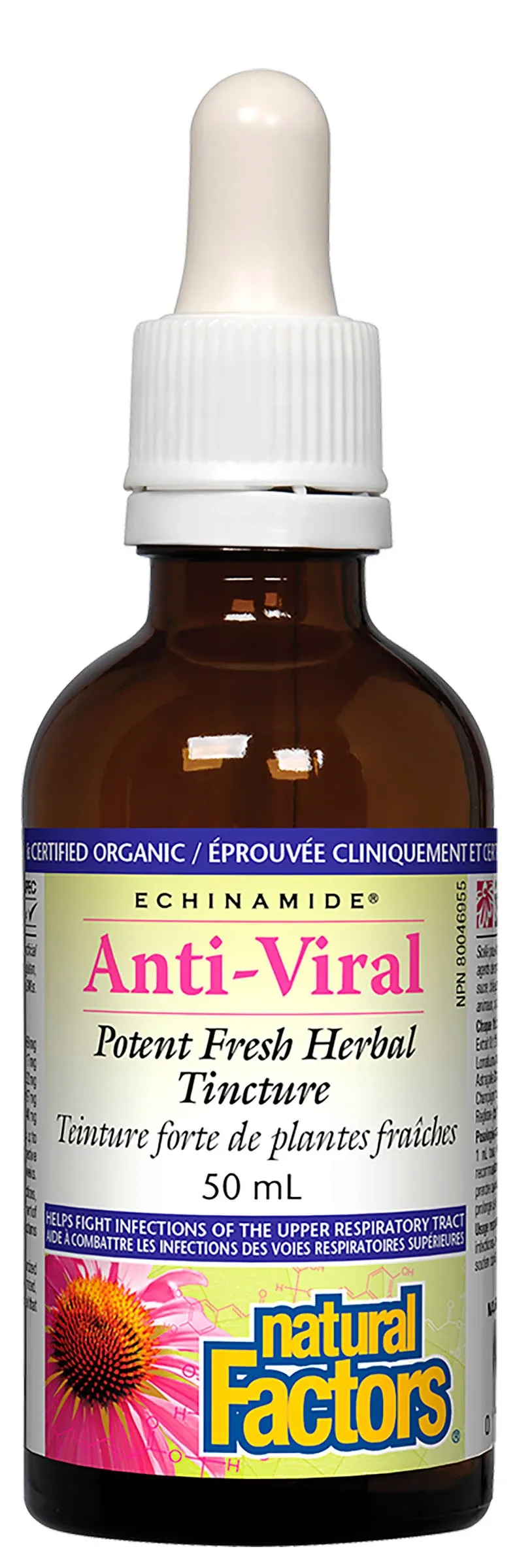 Natural factors - echinamide® | anti-viral