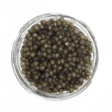 Premium Quality Sustainable Osetra Sturgeon Caviar 1