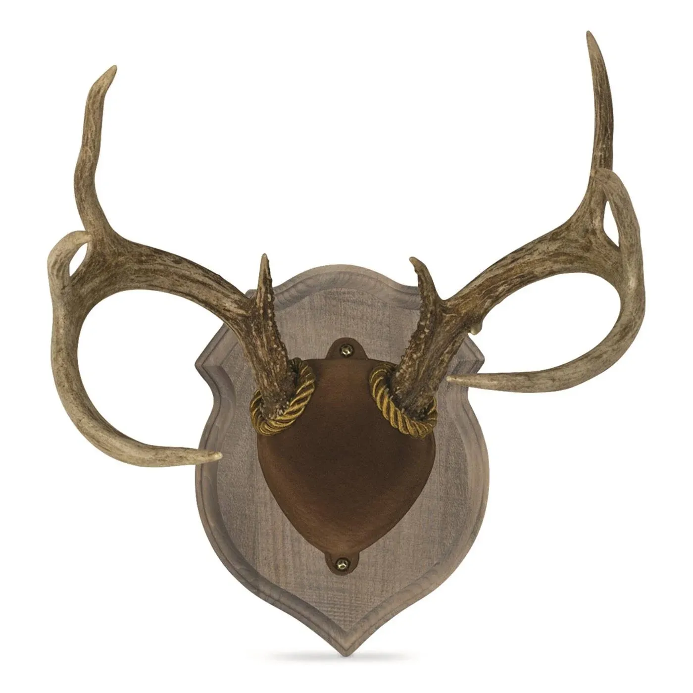 Camping World Deluxe Antler Display Kit