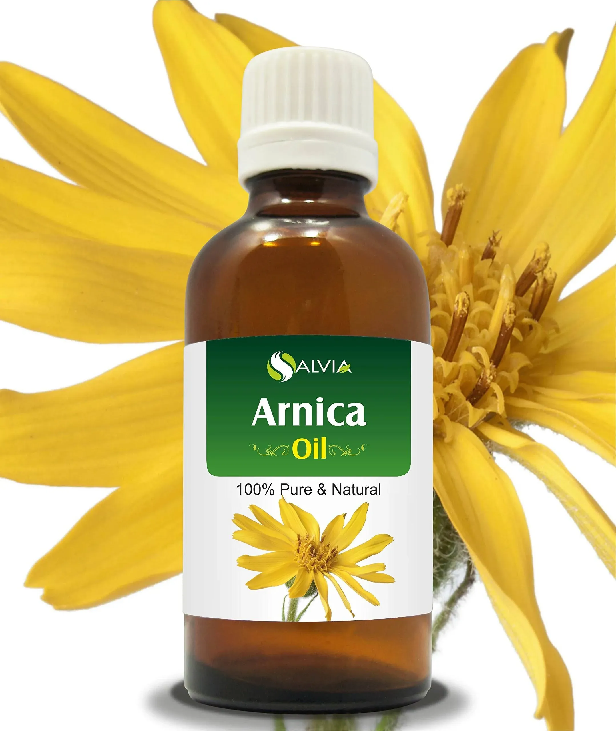 salvia Arnica (Arnica Montana) Therapeutic Essential Oil by Salvia Amber Bottle 100% Natural Uncut Undiluted Pure Cold Pressed Aromatherapy Premium Oil (0.51 Fl Oz (Pack of 1))