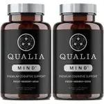 Qualia Mind